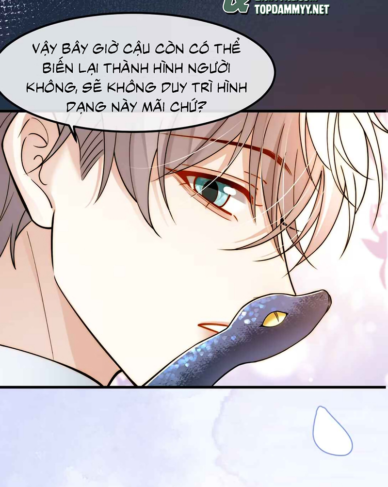 Tiêu Rồi, Sau Khi Bị Đánh Dấu Sinh Trứng Rắn Rồi Chap 11 - Trang 2