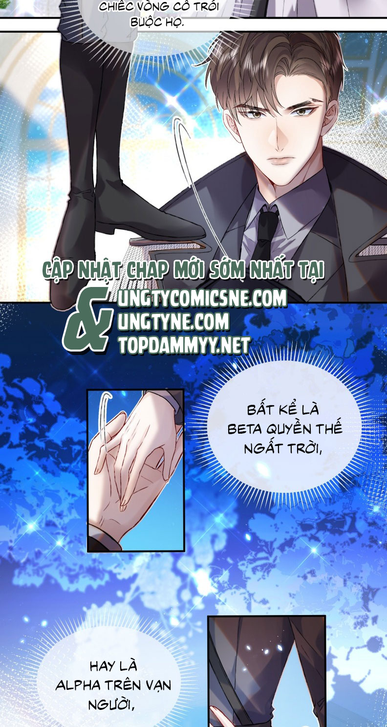 Cạm bẫy tin tức tố Chapter 1 - Trang 3