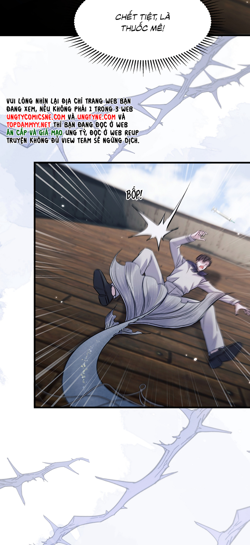 Desharow Nhân Ngư Chap 123 - Trang 2