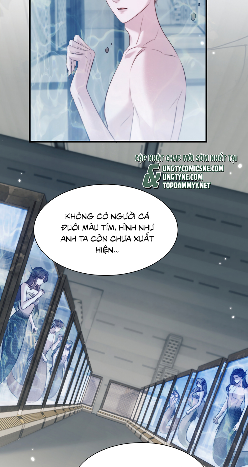 Desharow Nhân Ngư Chap 123 - Trang 2