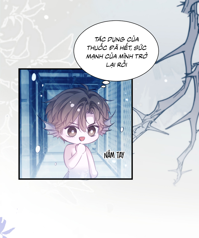 Desharow Nhân Ngư Chap 123 - Trang 2