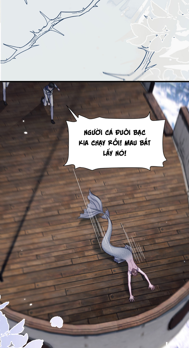 Desharow Nhân Ngư Chap 123 - Trang 2