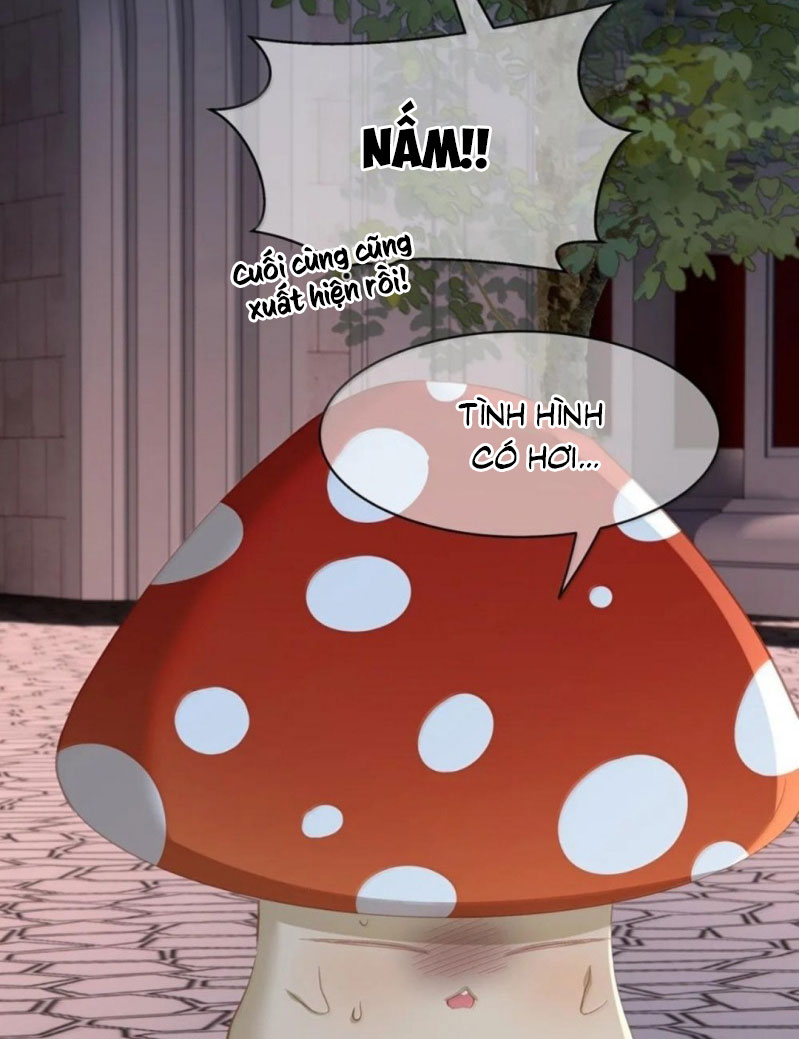 Tôi Trùng Sinh Trở Thành Tiểu Ác Long Của Vương Tử Điện Hạ Chap 107 - Trang 2