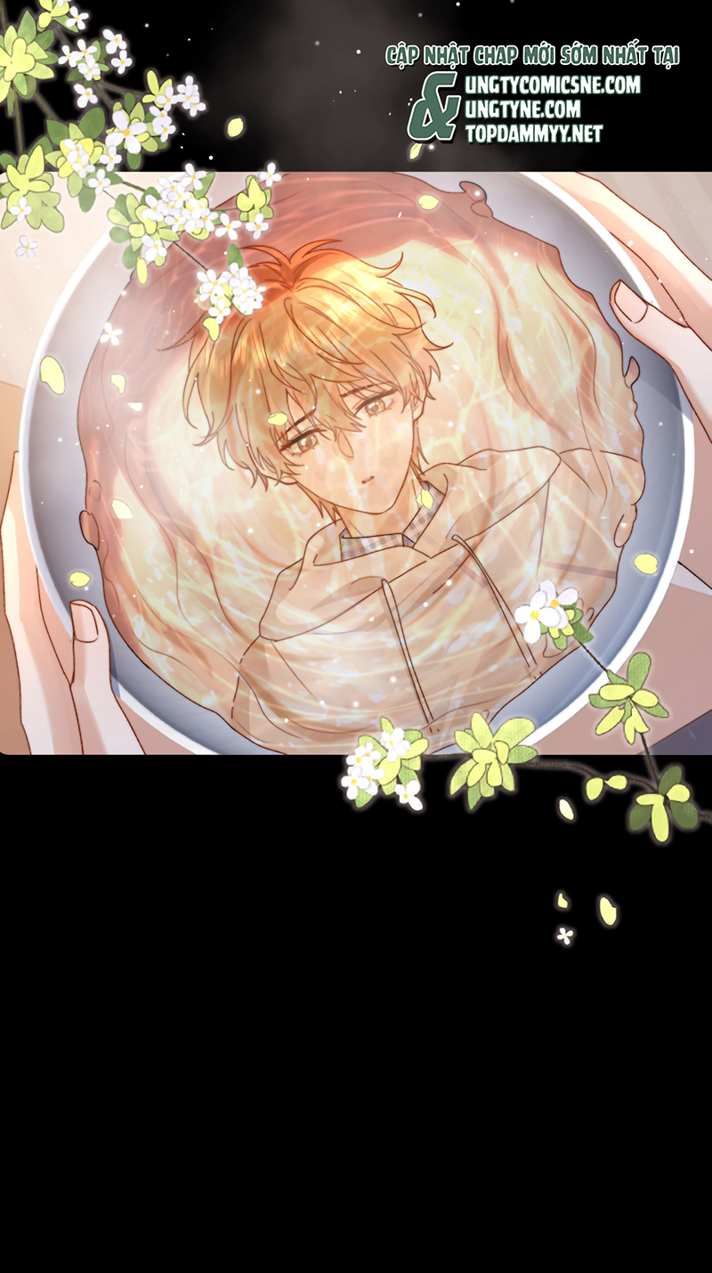 Chất Dị Ứng Đáng Yêu Chap 125 - Trang 2