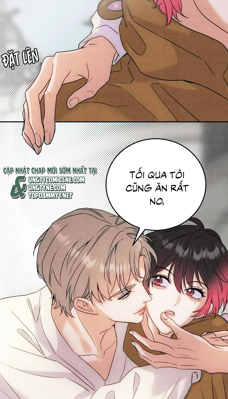 Xuyên Thành Con Ngỗng Vàng Của Đại Lão Alpha Chap 31 - Trang 2