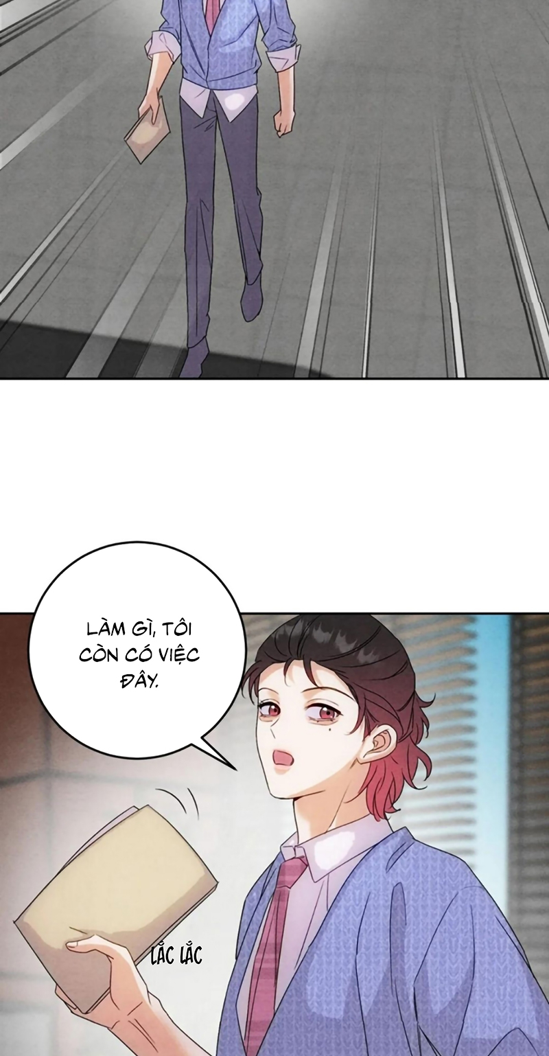 Xuyên Thành Con Ngỗng Vàng Của Đại Lão Alpha Chap 31 - Trang 2