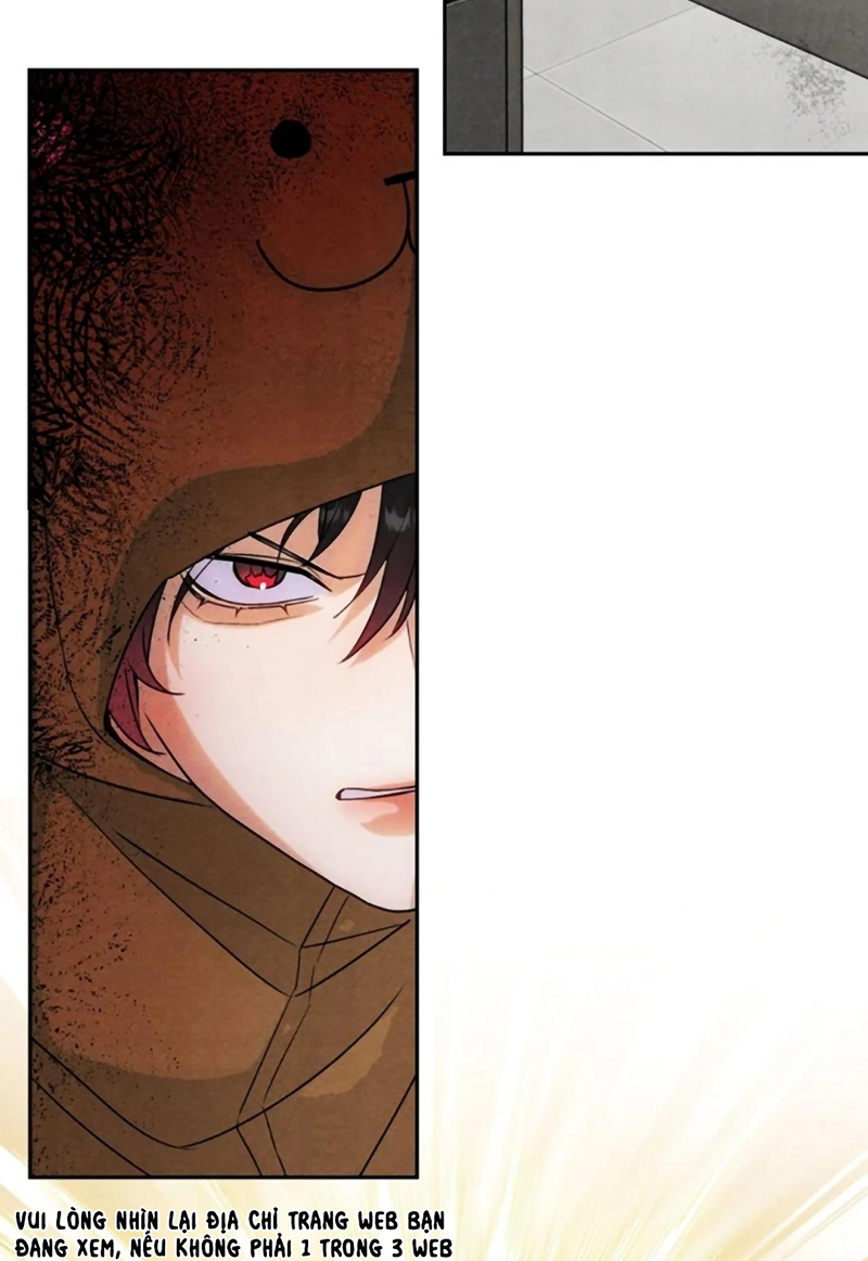 Xuyên Thành Con Ngỗng Vàng Của Đại Lão Alpha Chap 31 - Trang 2