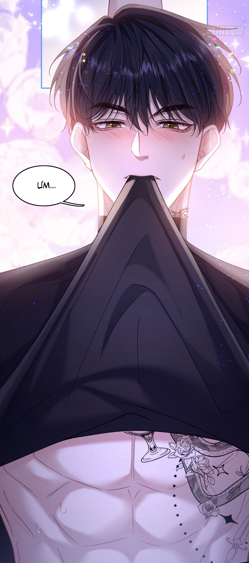 TÔI CỐ Ý GIẢ VỜ Chap 8 - Trang 2