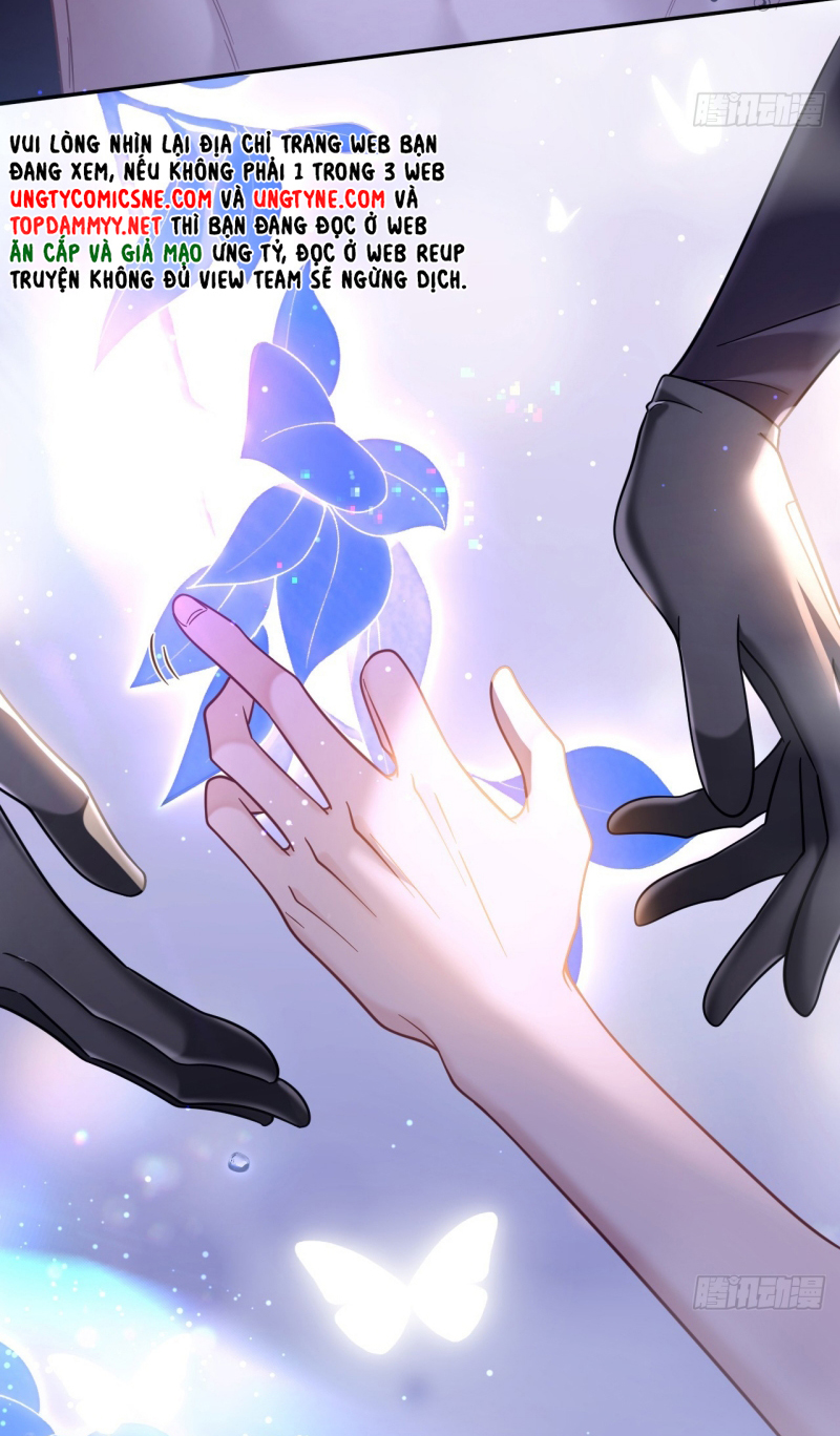 TÔI CỐ Ý GIẢ VỜ Chap 8 - Trang 2