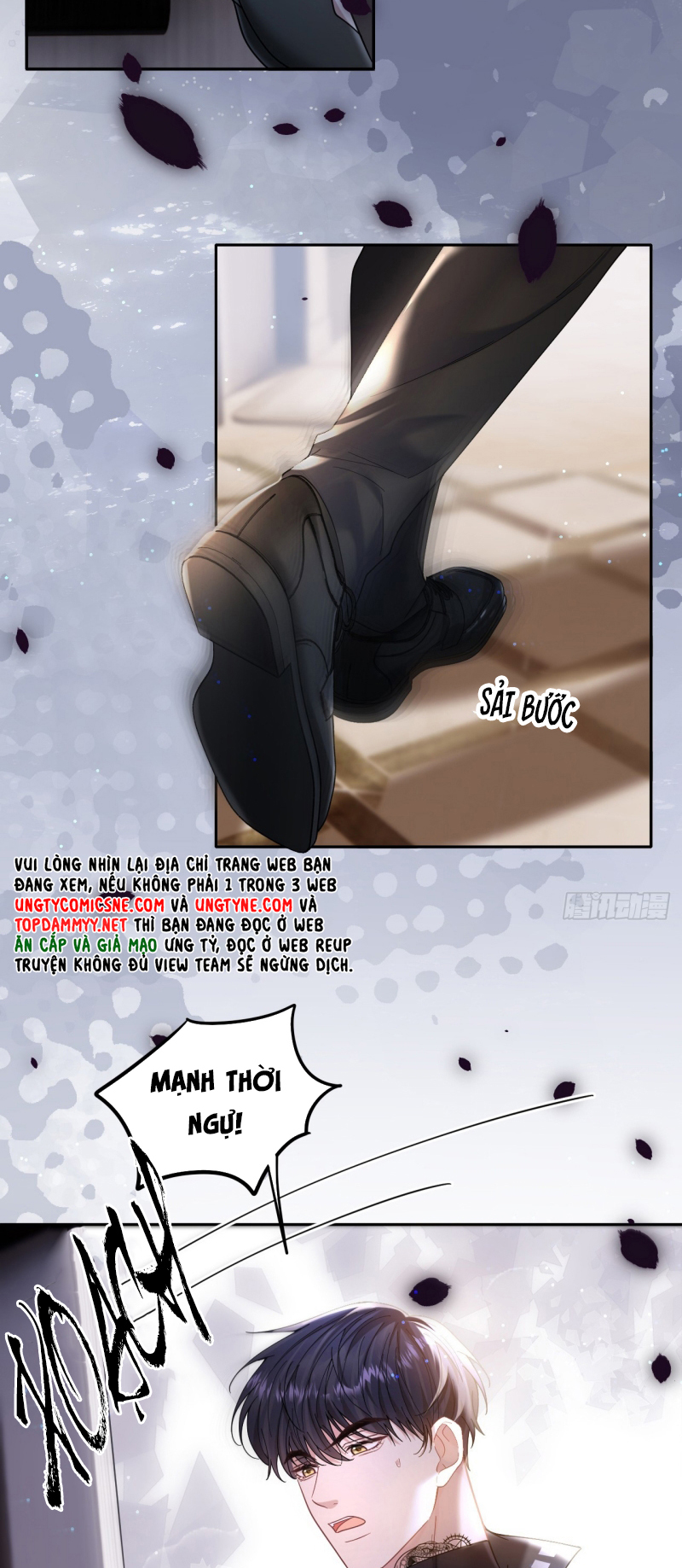 TÔI CỐ Ý GIẢ VỜ Chap 8 - Trang 2