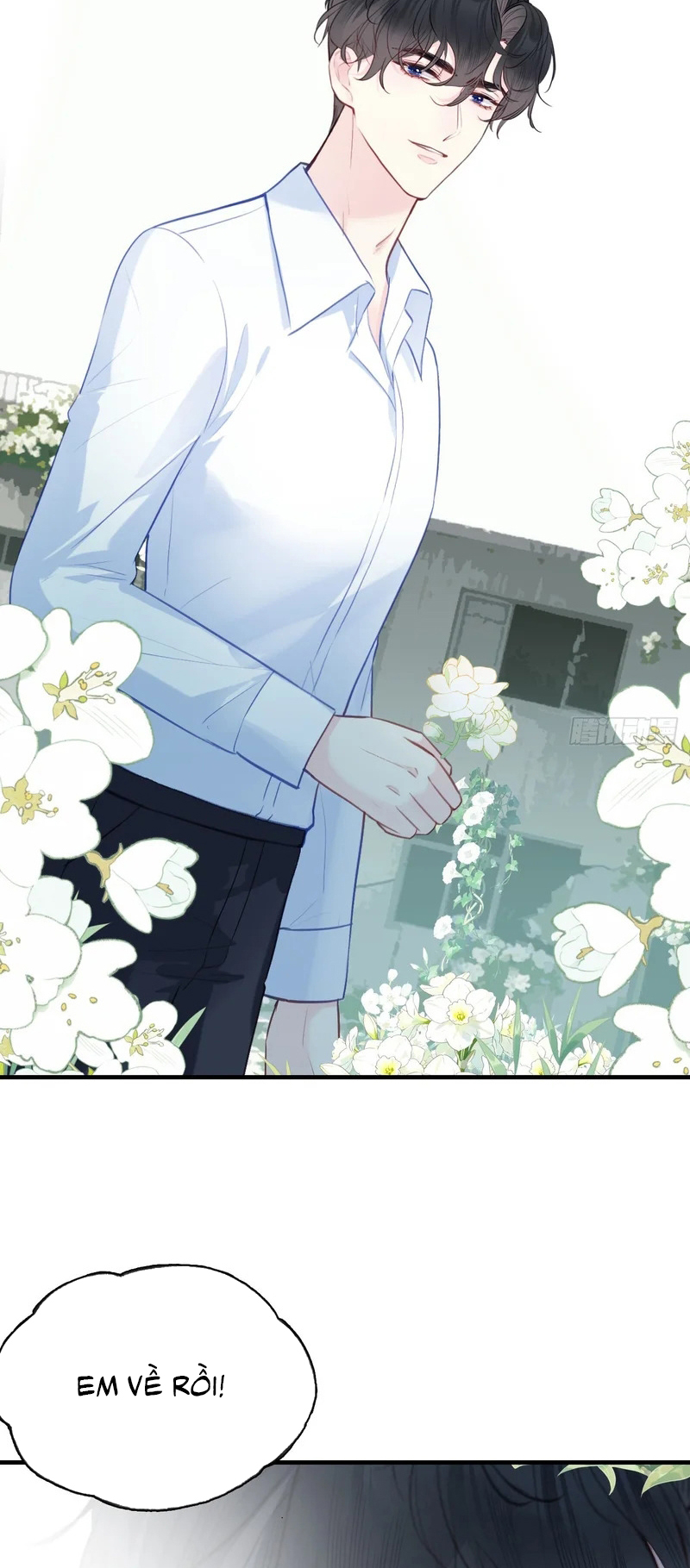 Anh Ấy Chưa Từng Rơi Xuống Chap 153 : End - Trang 2