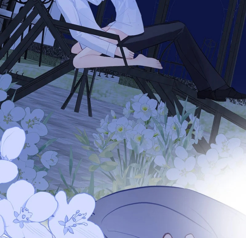 Anh Ấy Chưa Từng Rơi Xuống Chap 153 : End - Trang 2