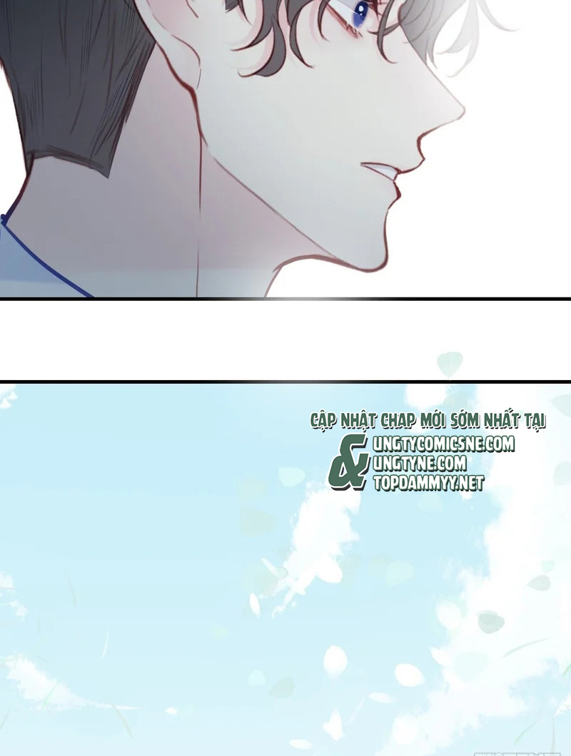 Anh Ấy Chưa Từng Rơi Xuống Chap 153 : End - Trang 2