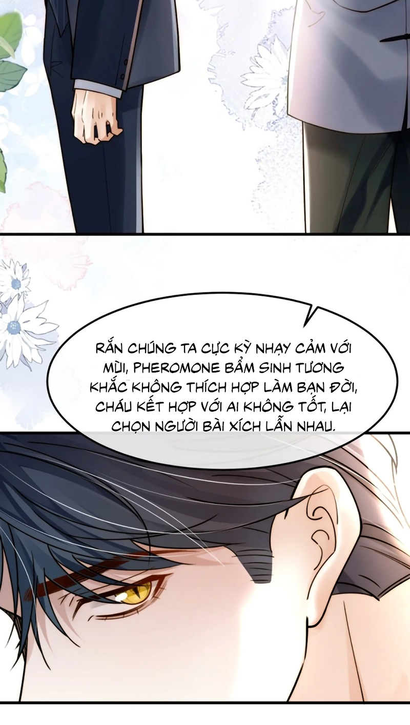 Tiêu Rồi, Sau Khi Bị Đánh Dấu Sinh Trứng Rắn Rồi Chap 12 - Trang 2