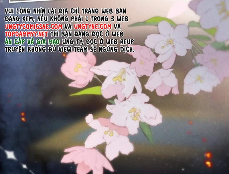 Chỉ Dẫn Săn Mồi Chap 11 - Trang 2