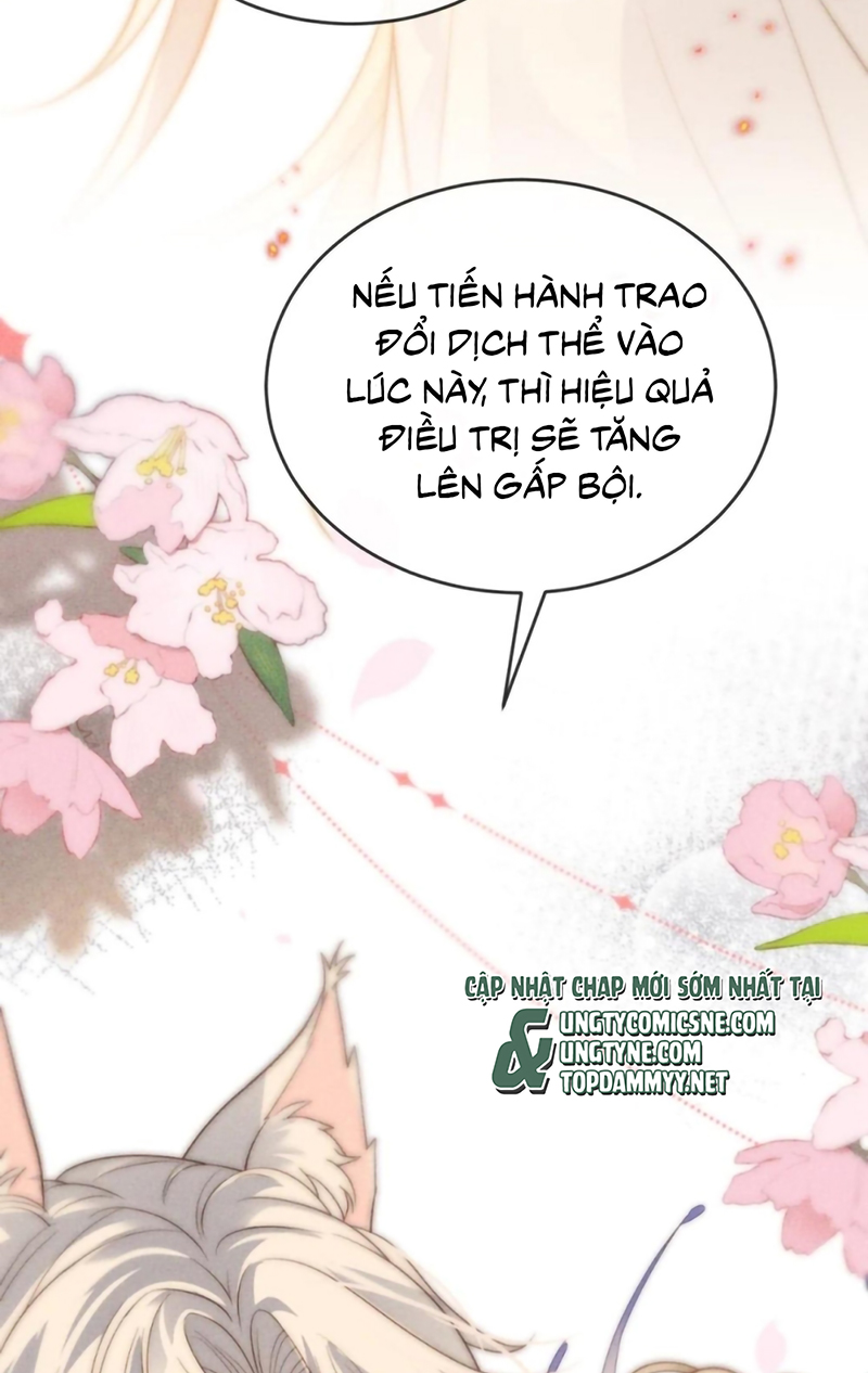 Chỉ Dẫn Săn Mồi Chap 11 - Trang 2