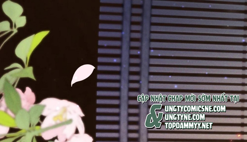 Chỉ Dẫn Săn Mồi Chap 11 - Trang 2