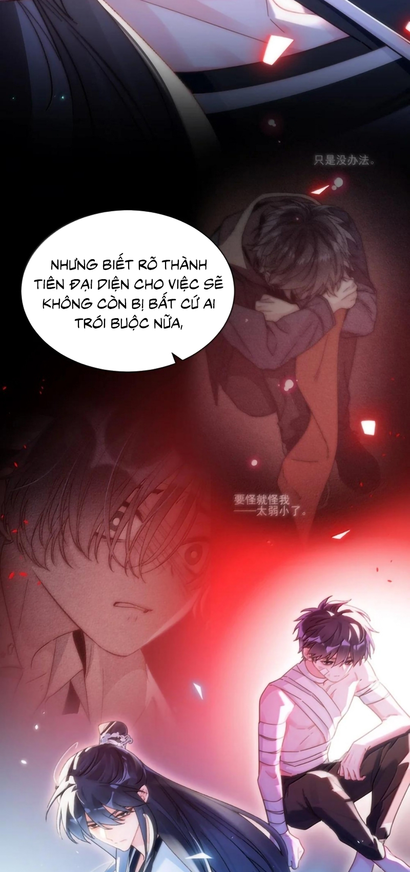 Tôi Phải Làm 1 Kẻ Đại Xấu Xa Chap 196 - Trang 2