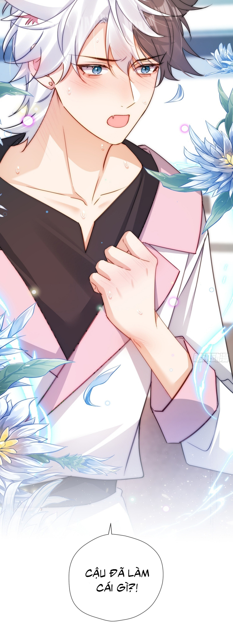 CẢ VŨ TRỤ ĐỀU MUỐN THÂN THIẾT VỚI TÔI Chap 11 - Trang 2