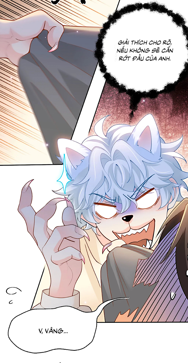 Đối Tượng Yêu Thầm Là Mèo Con Chap 6 - Trang 2