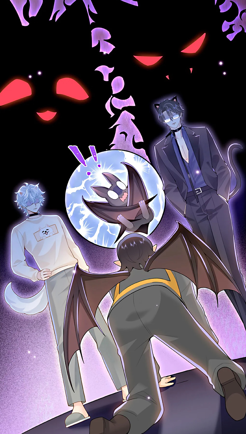 Đối Tượng Yêu Thầm Là Mèo Con Chap 6 - Trang 2