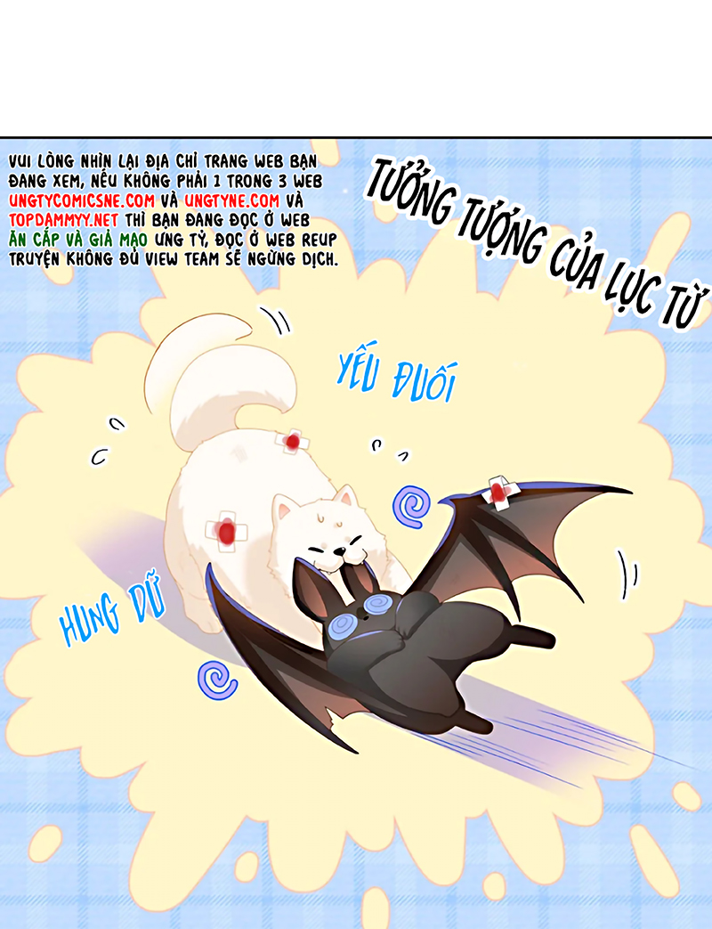 Đối Tượng Yêu Thầm Là Mèo Con Chap 6 - Trang 2