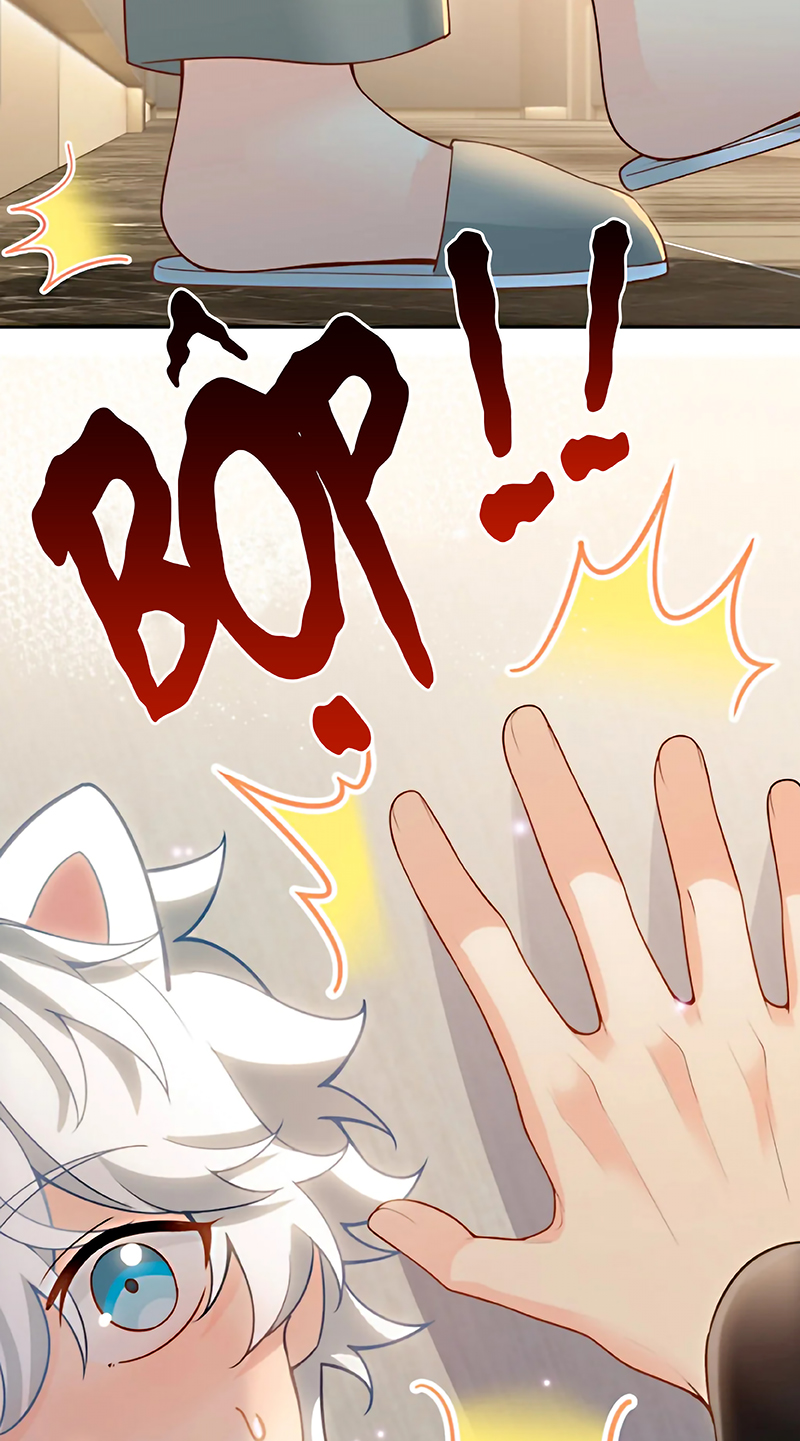 Đối Tượng Yêu Thầm Là Mèo Con Chap 6 - Trang 2