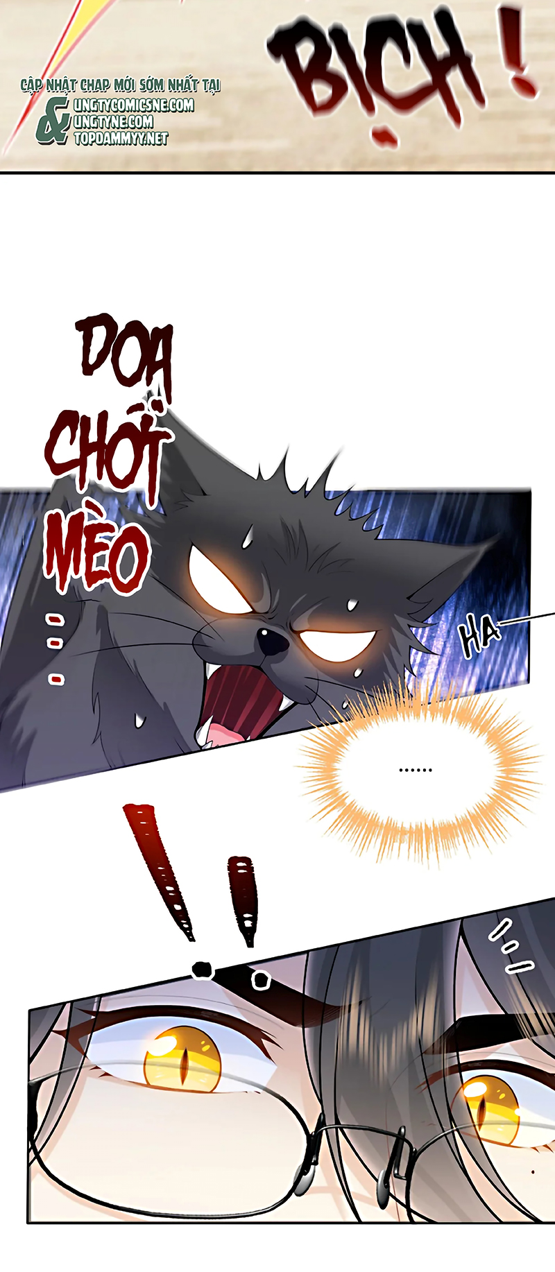 Đối Tượng Yêu Thầm Là Mèo Con Chap 6 - Trang 2