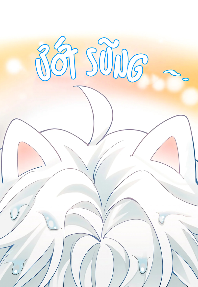 Đối Tượng Yêu Thầm Là Mèo Con Chap 6 - Trang 2