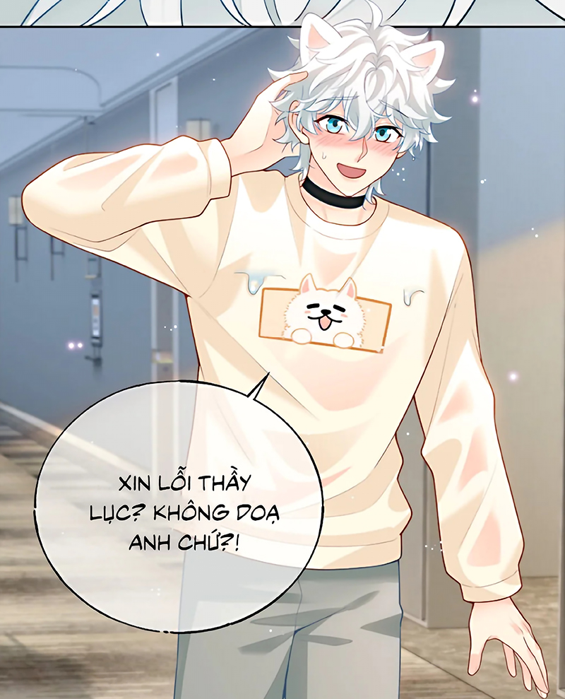 Đối Tượng Yêu Thầm Là Mèo Con Chap 6 - Trang 2