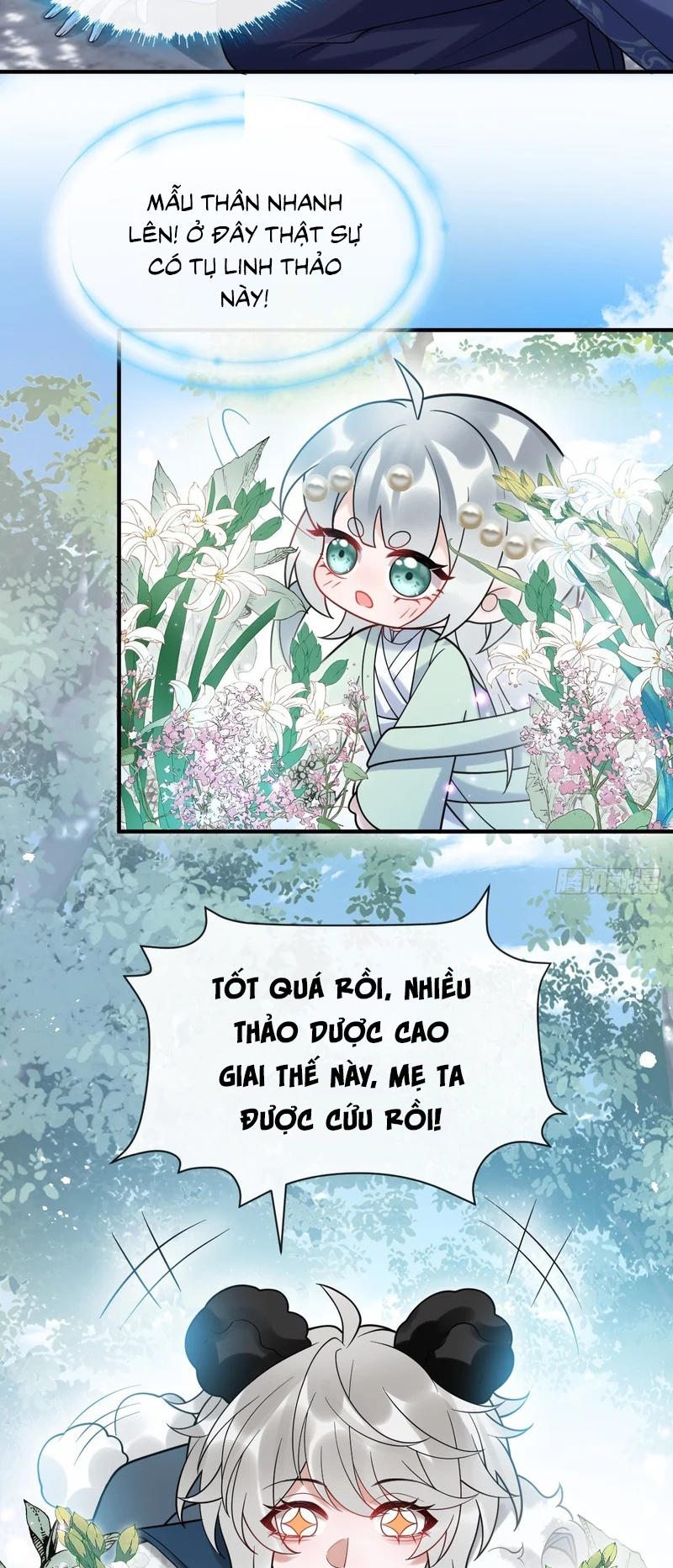 Lấy Trân Châu Làm Sính Lễ Chap 15 - Trang 2