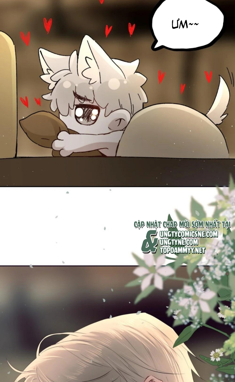 Thánh Đàn Ô Uế Chap 12 - Trang 2