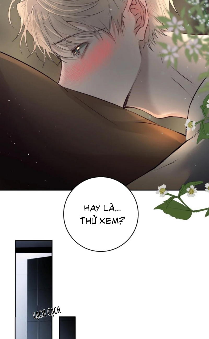 Thánh Đàn Ô Uế Chap 12 - Trang 2
