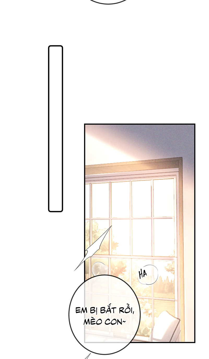 Đêm Tình Yêu Và Sát Ý Chap 90 - Trang 2