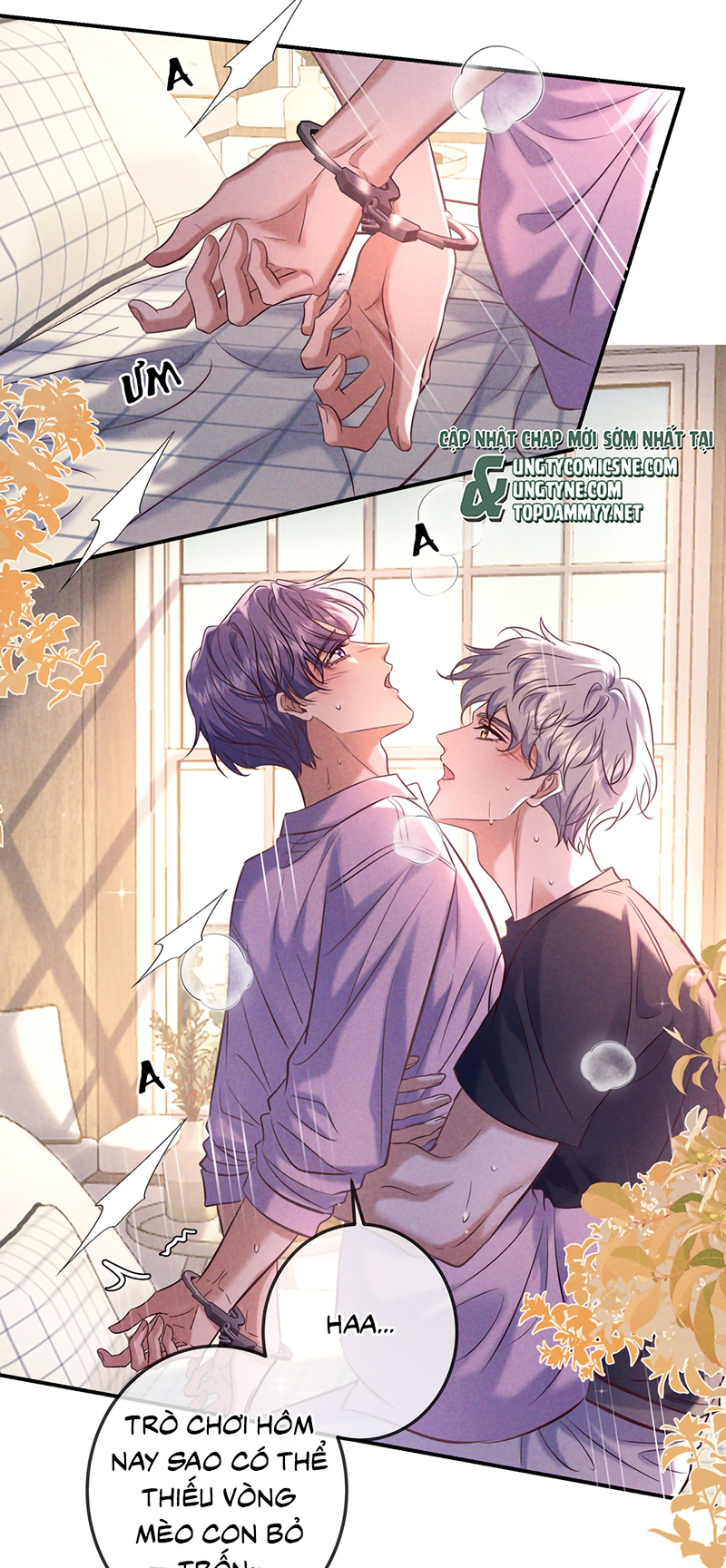 Đêm Tình Yêu Và Sát Ý Chap 90 - Trang 2